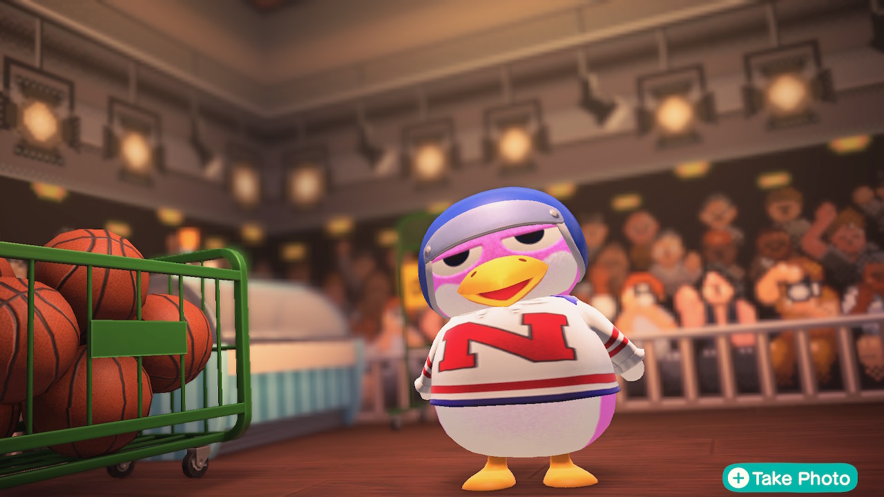 Sports penguin villager in basketball gym in Animal Crossing