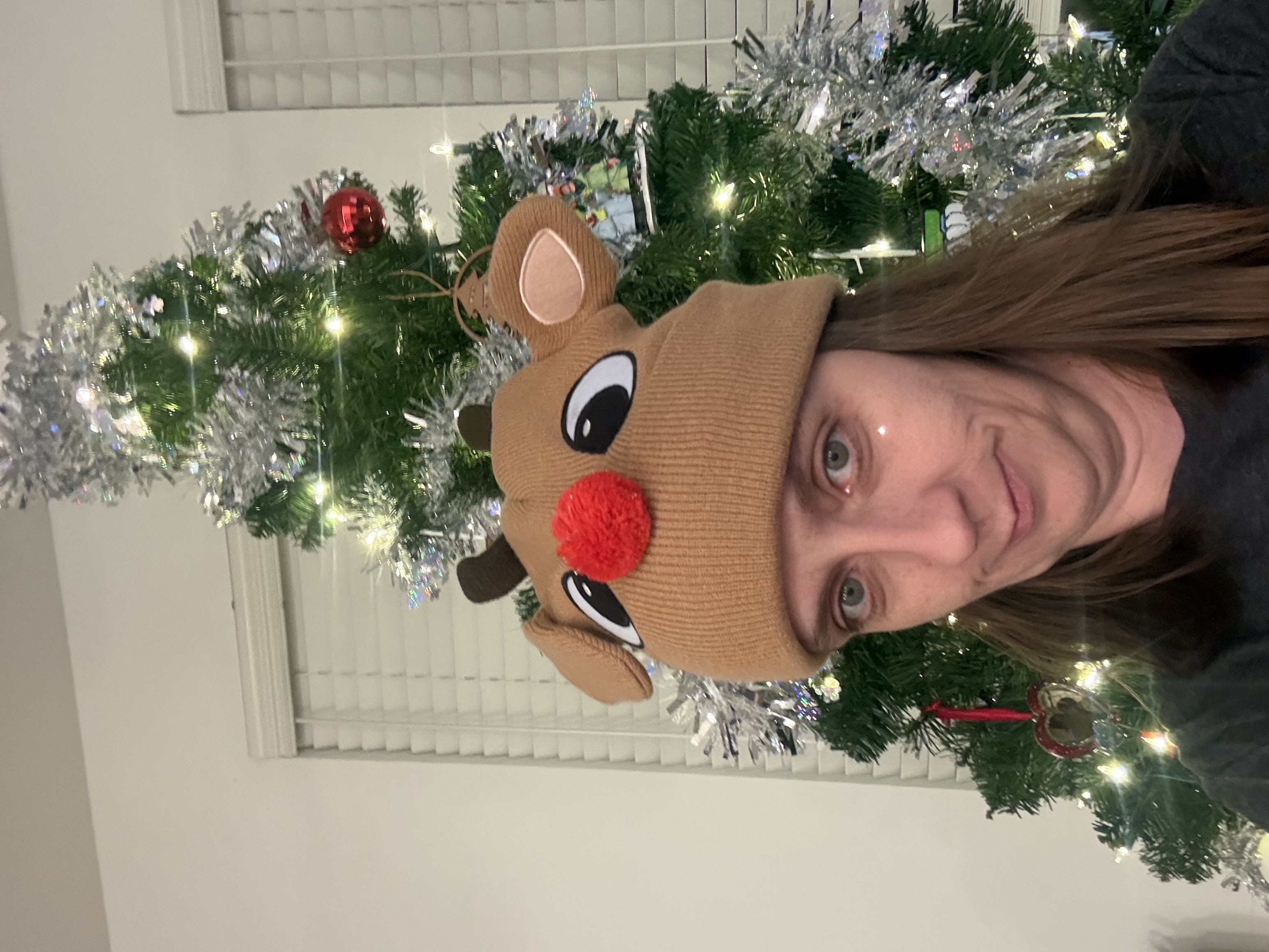 Holiday Prep With My Cozy Villagers: Snowflakes, Lights & Cheer!